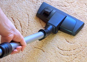 A carpet cleaning professional working in Palo Verde